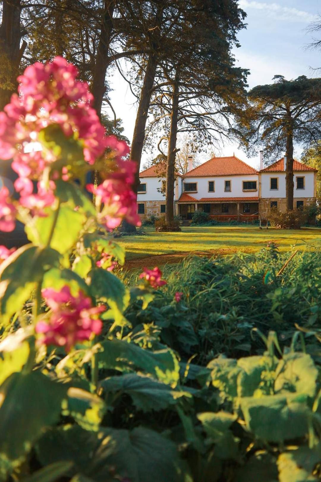 Lugar Da Pedra Alta - B&B - Private Historical Villa Melo Ngoại thất bức ảnh