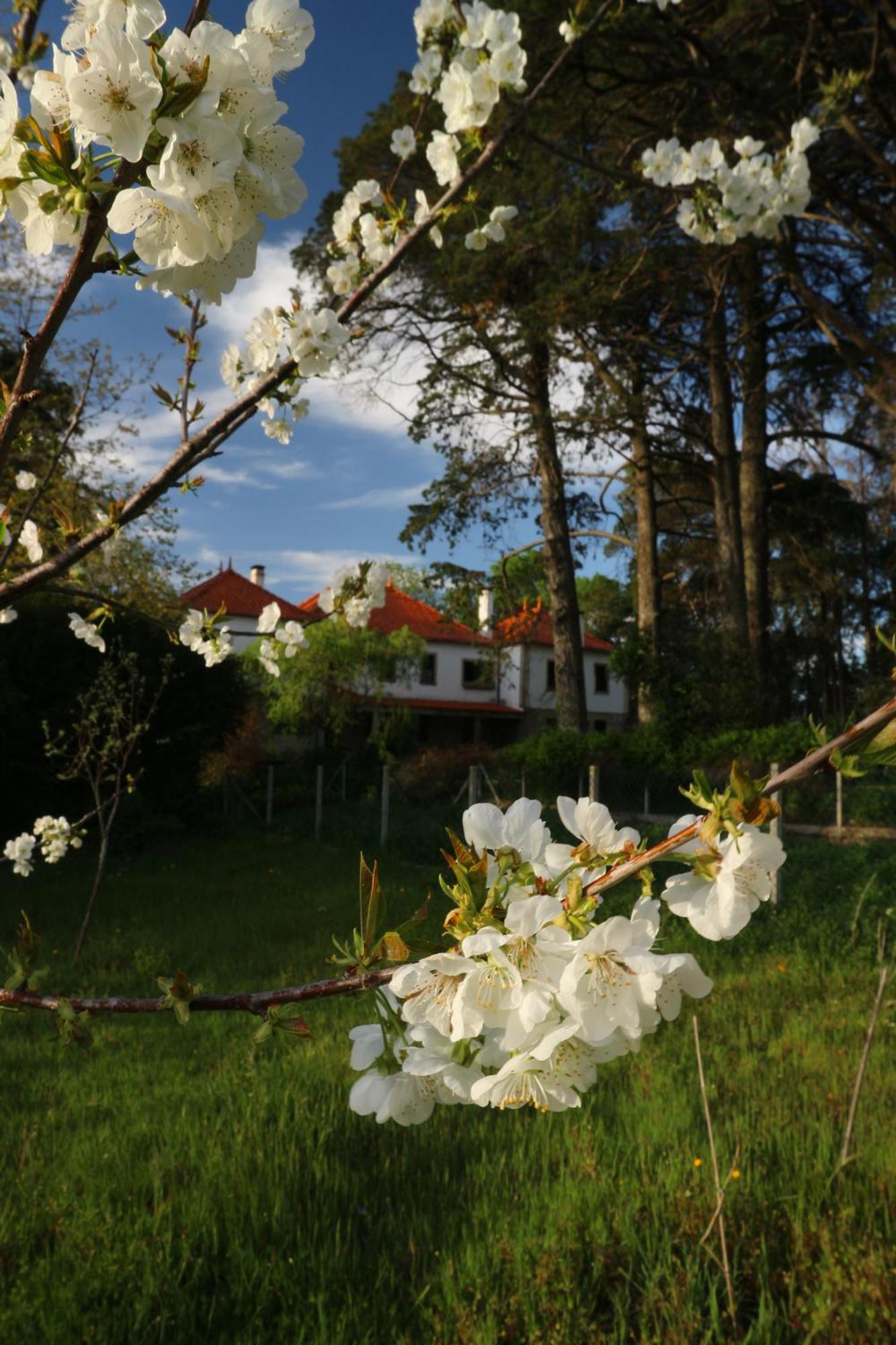 Lugar Da Pedra Alta - B&B - Private Historical Villa Melo Ngoại thất bức ảnh